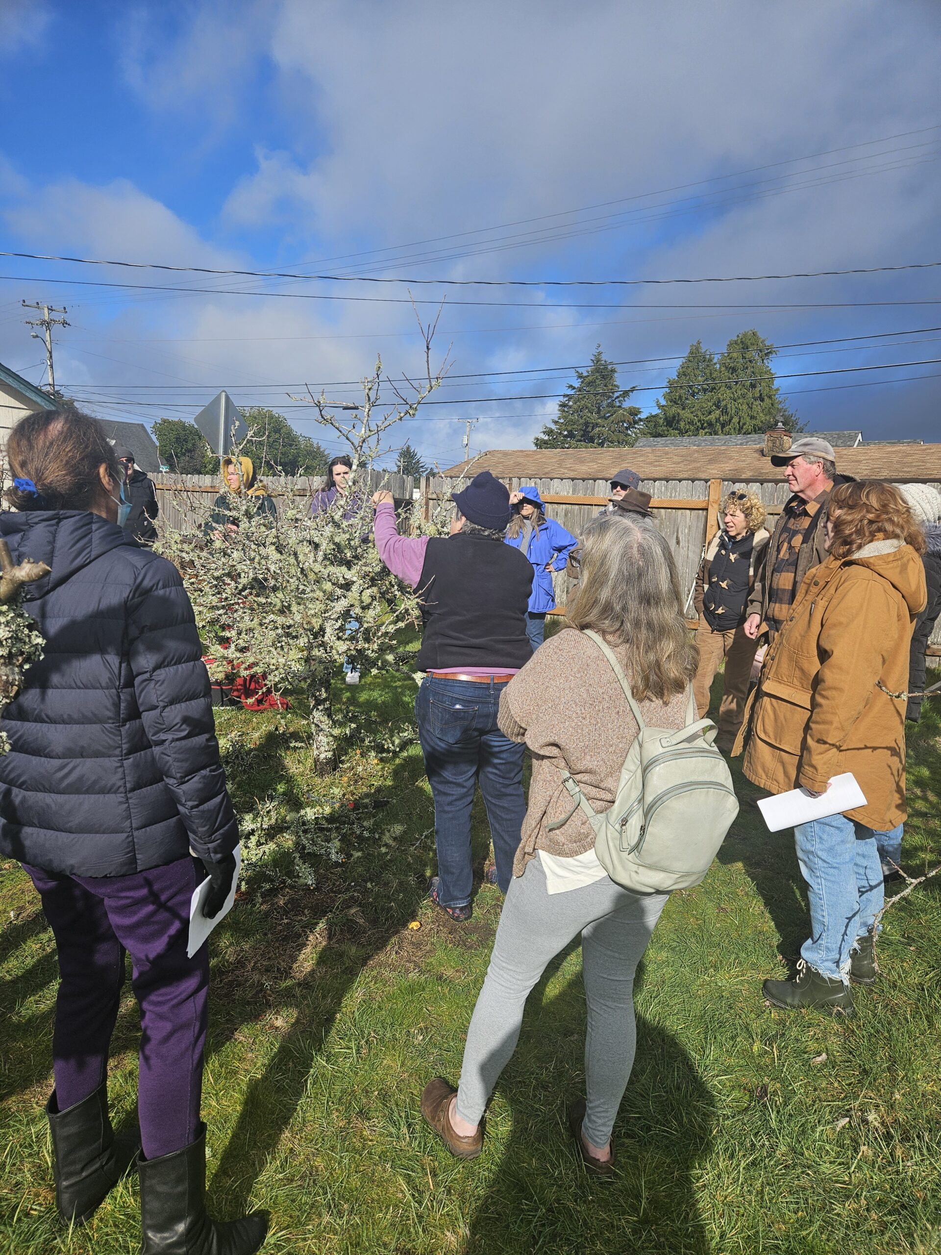 OSU Extension Hosted Successful Pruning Workshop in Florence