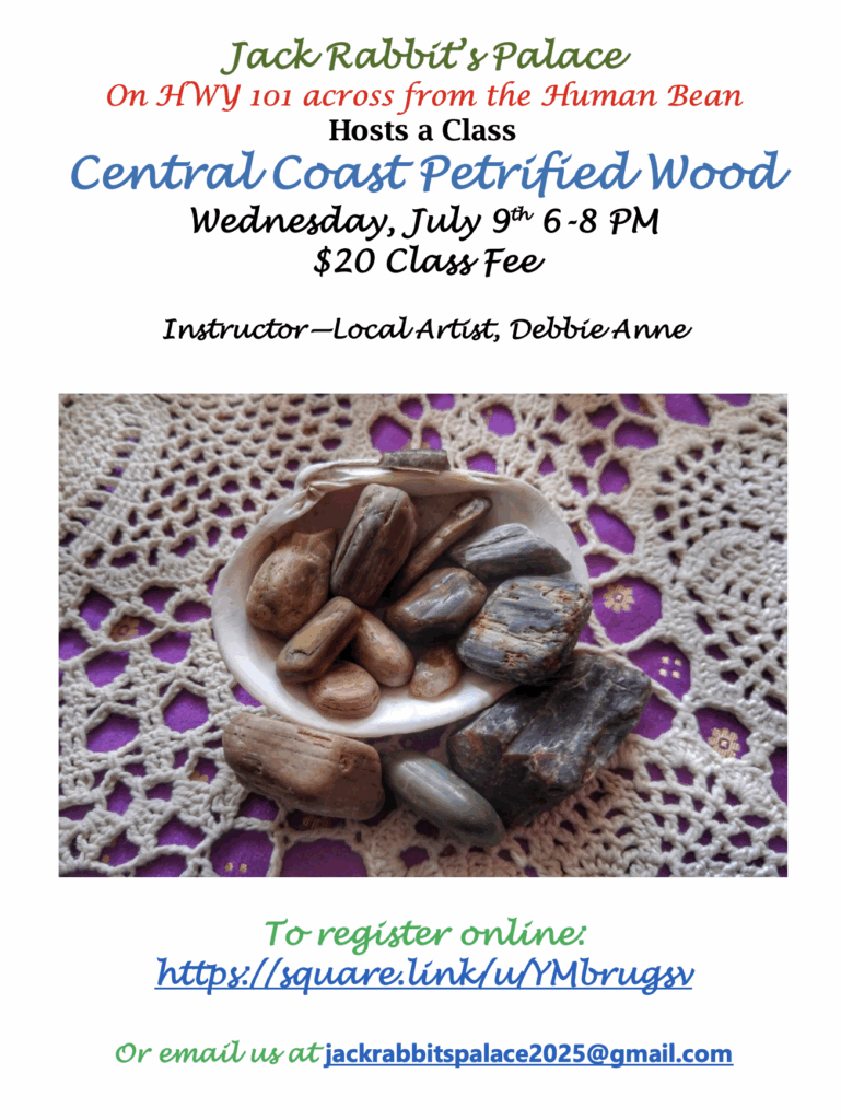 Flier for petrified wood class on July 9