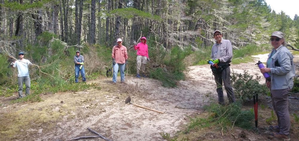 Scotch Broom Removal at Three Mile Prairie County Park – Saturday, August 23, 10 AM to Noon