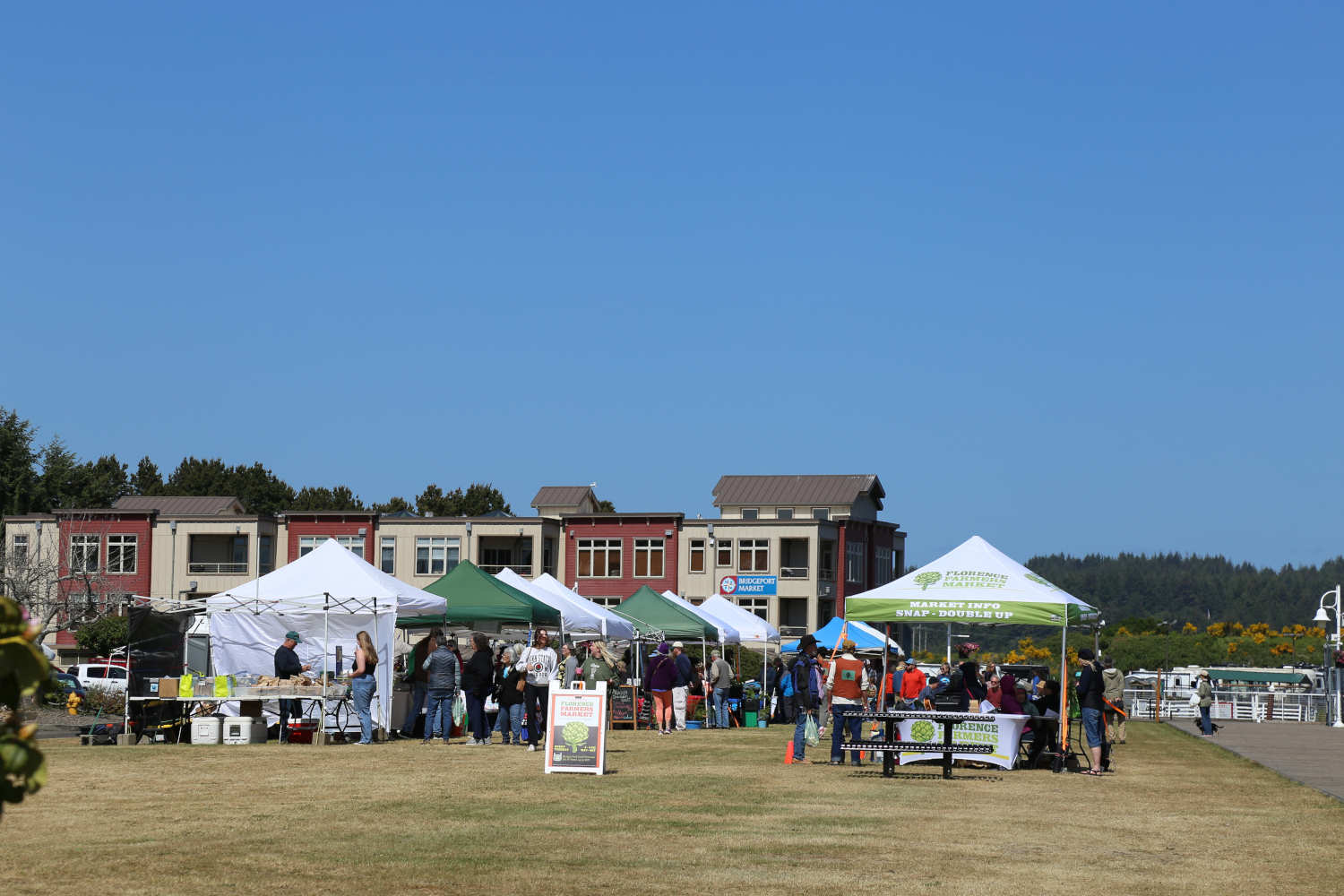 Help Shape the Future of the Florence Farmers Market!