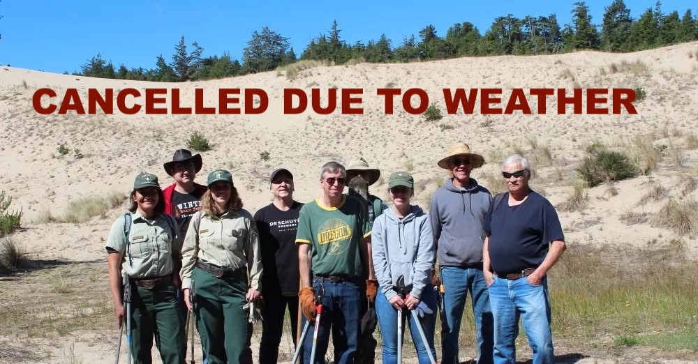 CANCELLED: Scotch Broom Removal at Sandtracks Picnic Area – Saturday, October 25