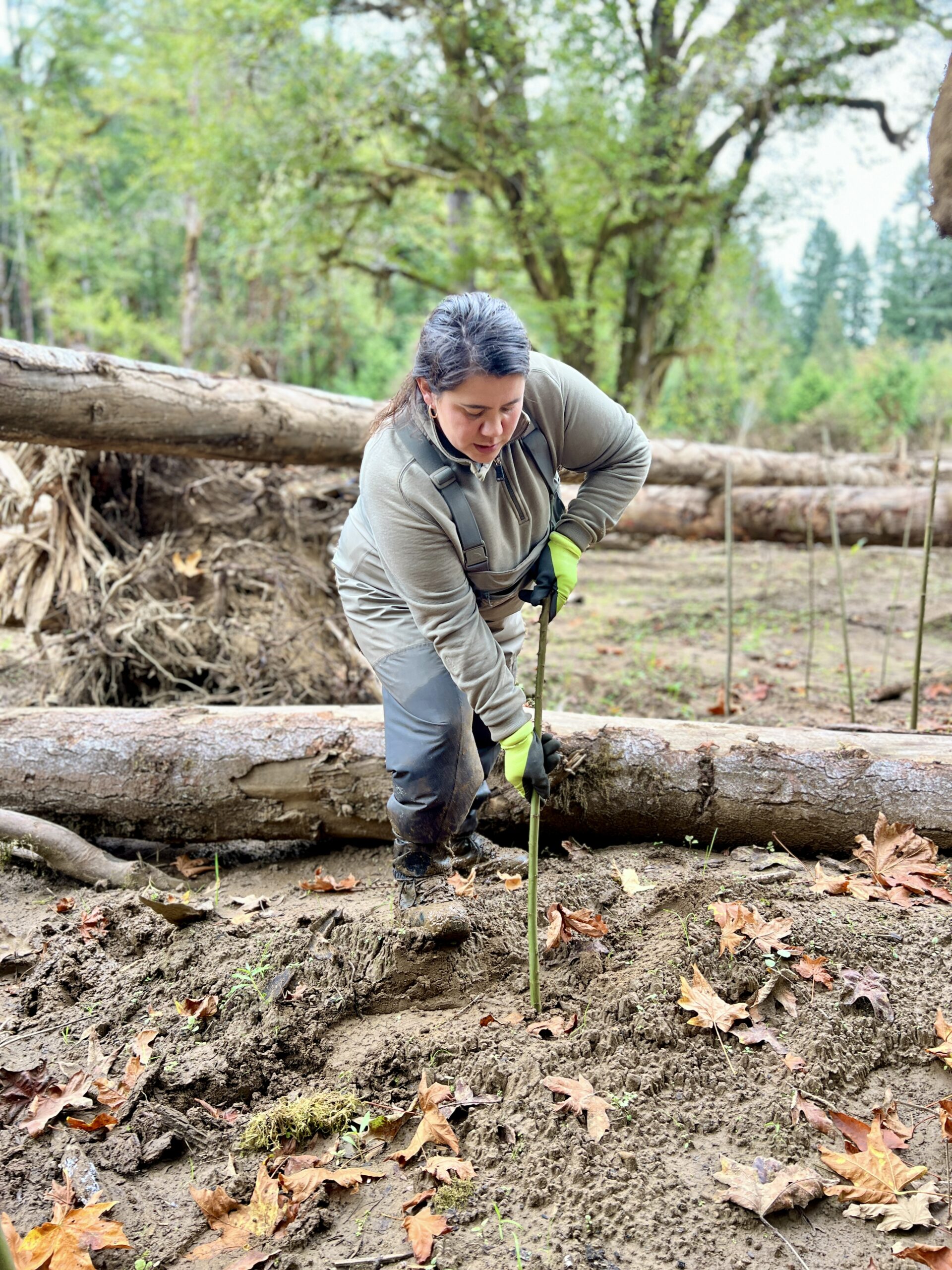 Double Your Donation to the Siuslaw Watershed Council Between October 1 and December 31!