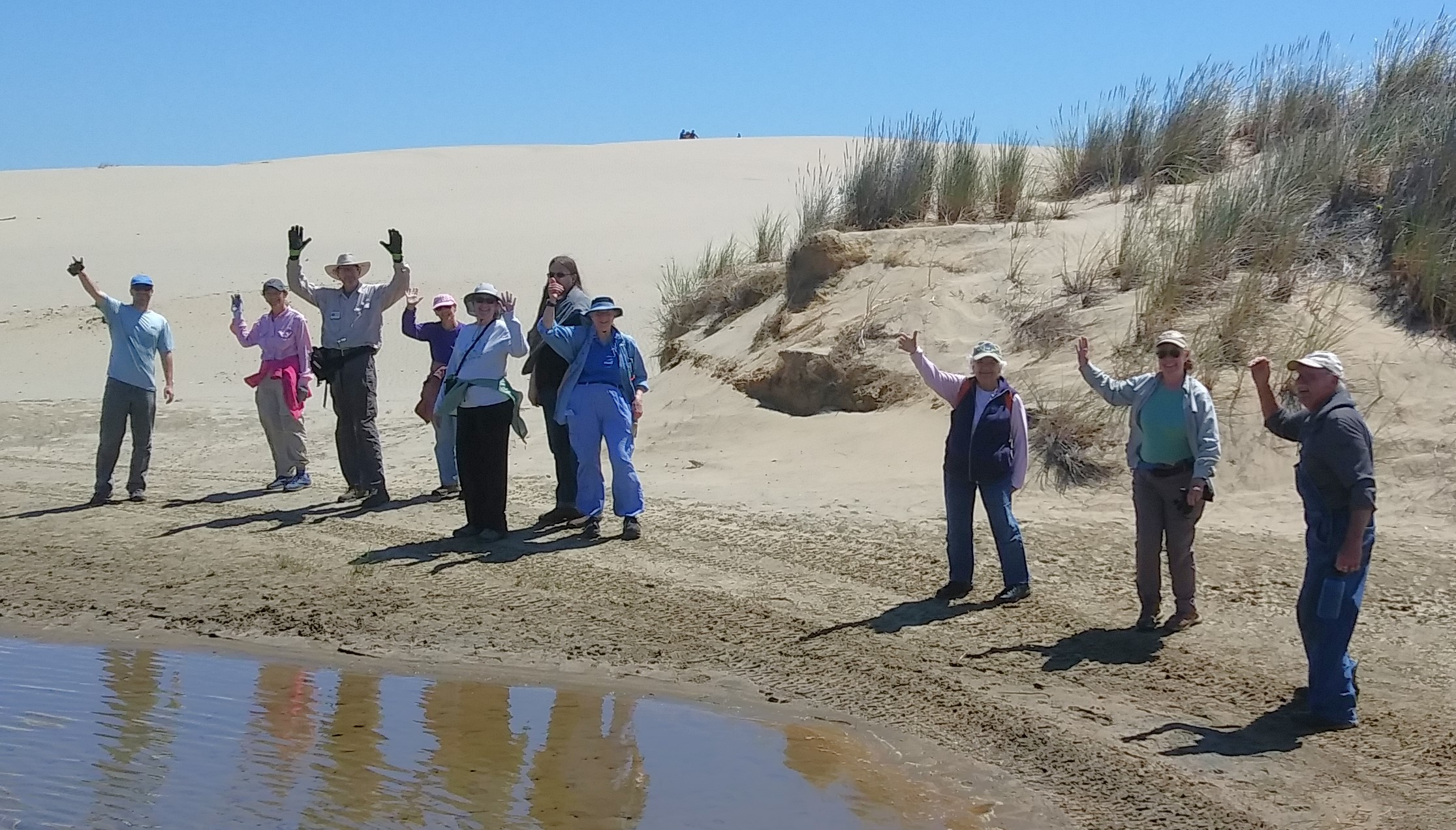 Scotch Broom Removal at the North Jetty of the Siuslaw River County Park – Saturday, March 28