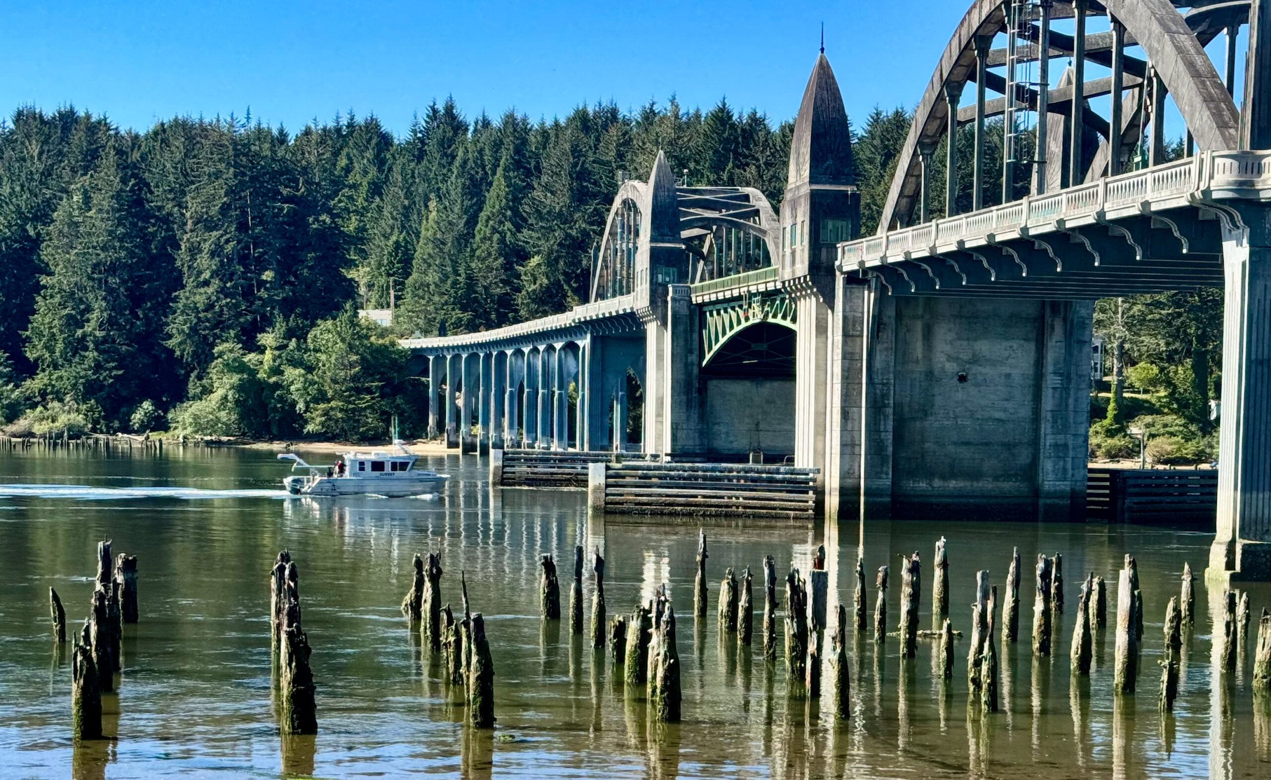 The City Club of Florence Oregon, City Council Candidates Forum